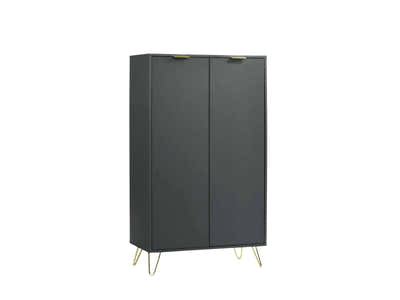 Zinnia 2-Door Shoe Storage Cabinet