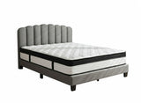Innogen Bed Frame Grey & Euro Top Mattress G31 - Queen