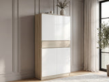 Teasel 4-Door Tall Shoe Cabinet with Drawer