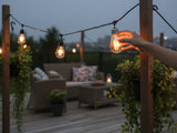 Festoon Light Bulbs S14 Tungsten