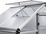 DS New Greenhouse 4ft x 6ft