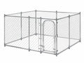 Dog Run - 4m x 4m x 1.8m
