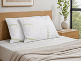DS Shredded Memory Foam Pillow x 2