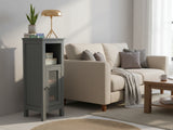1-Door Rattan Storage Cabinet - Grey