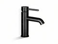 Black Basin Faucet