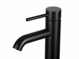 Black Basin Faucet Large