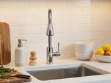 Silver Kitchen Faucet with Pull-out Spray