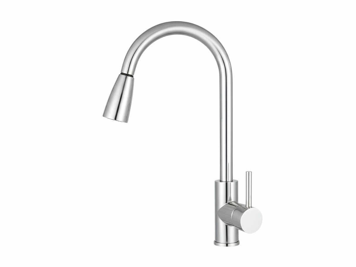 Silver Kitchen Faucet with Pull-out Spray