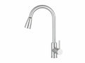 Silver Kitchen Faucet with Pull-out Spray