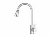 Silver Kitchen Faucet with Pull-out Spray