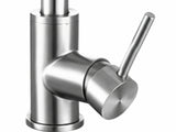 Silver Kitchen Faucet with Pull-out Spray