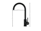 Black Kitchen Faucet - Gooseneck