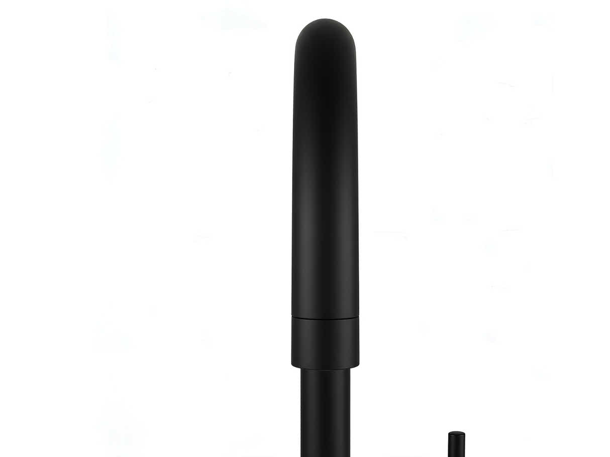 Black Kitchen Faucet - Gooseneck