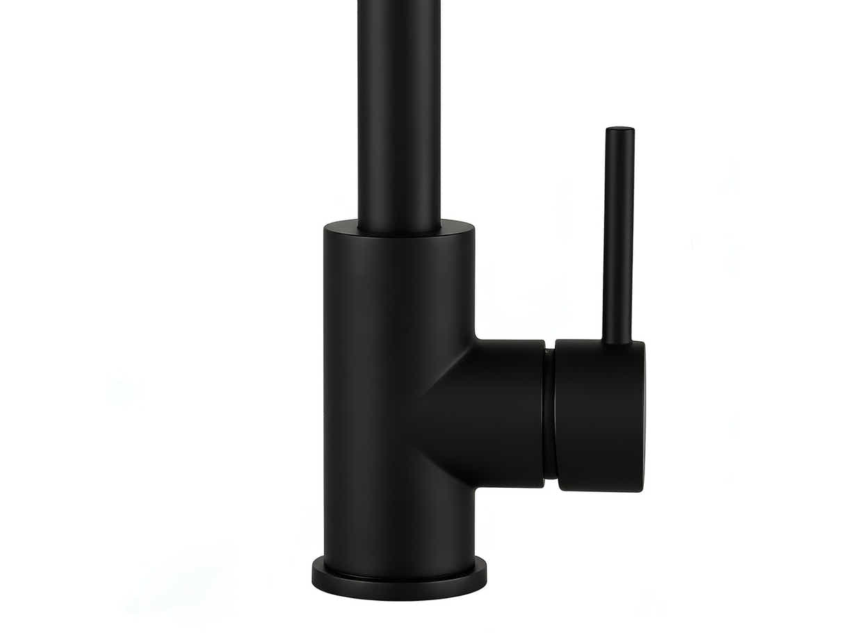 Black Kitchen Faucet - Gooseneck