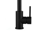 Black Kitchen Faucet - Gooseneck