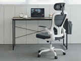 Koa Desk With Storage Bag & Molina Mesh Task Chair White+Grey