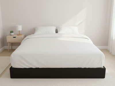 D54 Metal Bed Frame - Queen