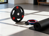DS Rubber Weight Plates 20kg