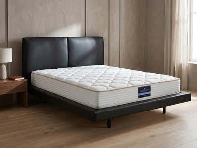 Priscilla PU Bed Frame Black & PIL20 Mattress with Pillows - Queen