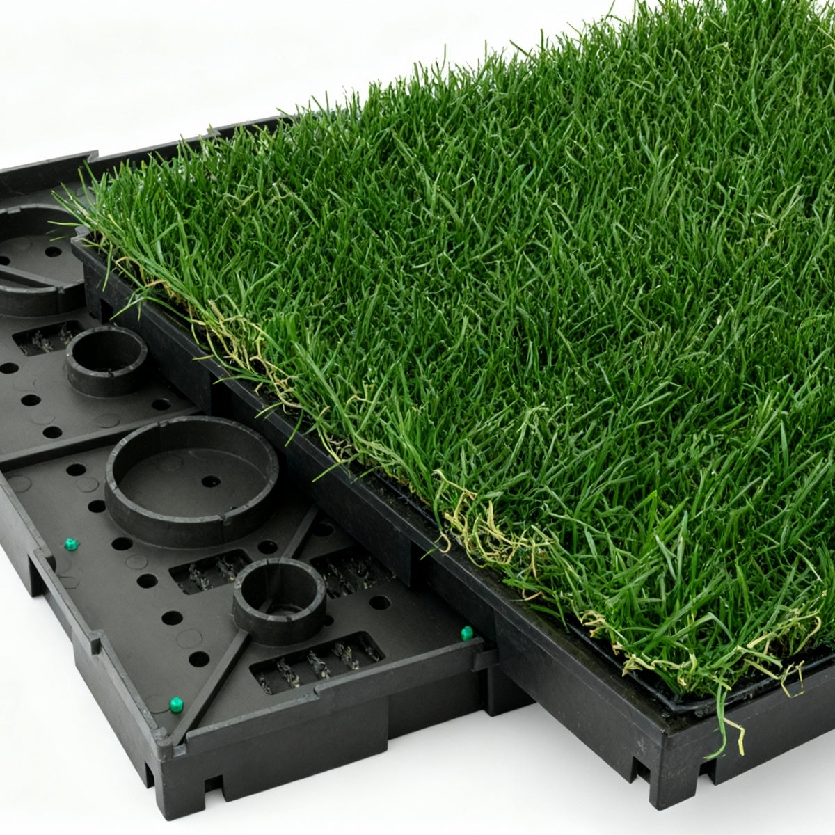 Multi-Colors 20 mm Artificial Grass Tiles | 12-Pack | TSB Living NZ