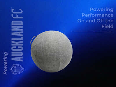 Gymball Cover - Dark Grey