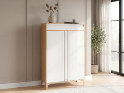Lonna Steel 2-Door Shoe Cabinet With Drawers - White