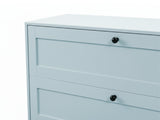 Lonna Steel 4-Drawer Tallboy - Mint