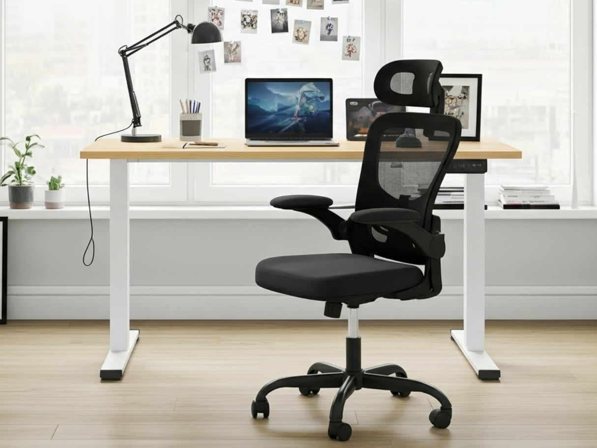 Height Adjustable Desk Set LK Oak & Molina Mesh Task Chair Black+Black