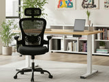 Height Adjustable Desk Set LK Oak & Molina Mesh Task Chair Black+Black