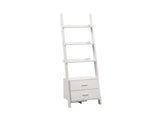 Hollow Core ladder Bookcase - White