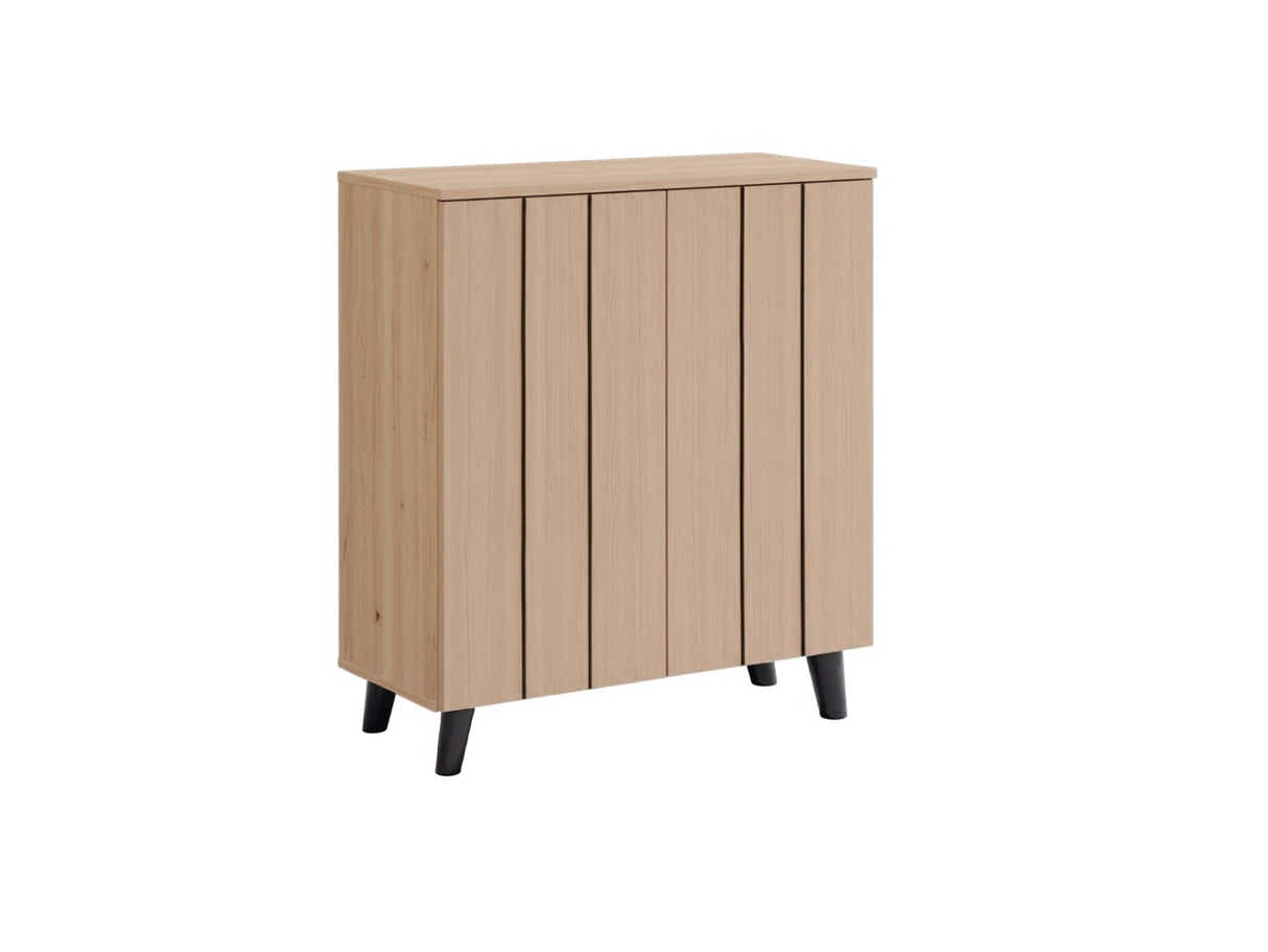 Laelia 2-Door Shoe Cabinet