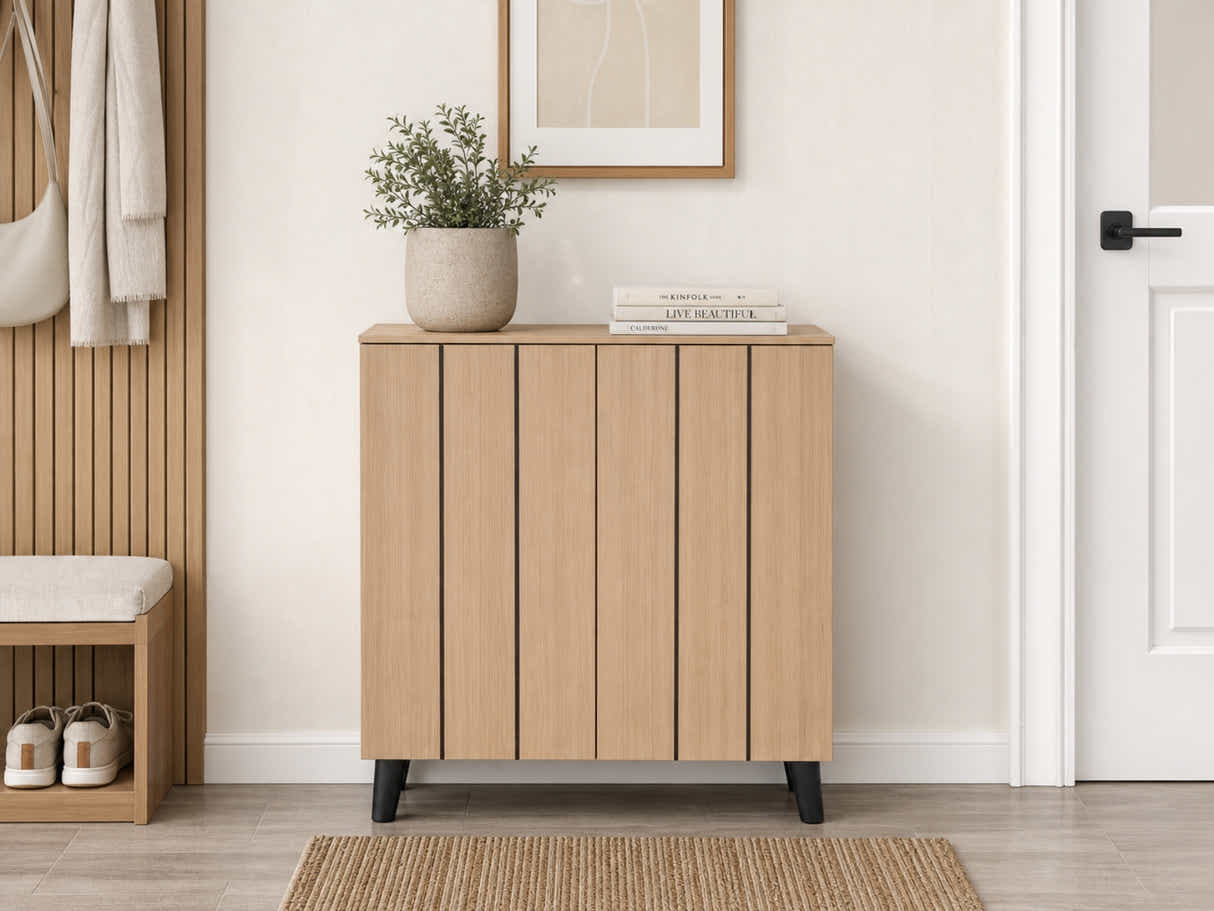 Laelia 2-Door Shoe Cabinet