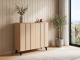 Laelia 2-Door Shoe Cabinet