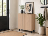 Laelia 2-Door Shoe Cabinet