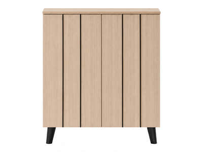 Laelia 2-Door Shoe Cabinet