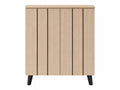 Laelia 2-Door Shoe Cabinet