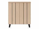 Laelia 2-Door Shoe Cabinet