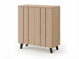 Laelia 2-Door Shoe Cabinet