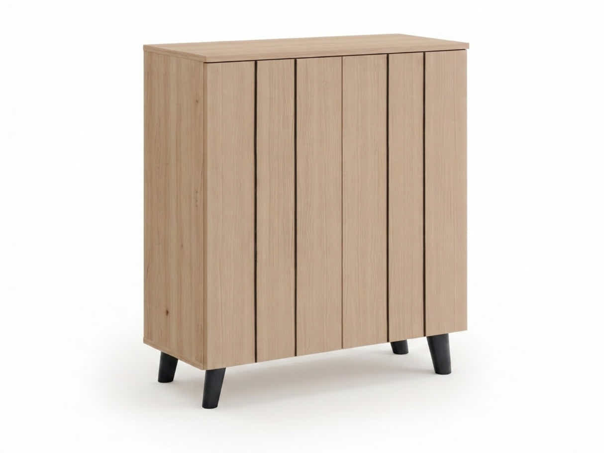Laelia 2-Door Shoe Cabinet