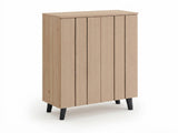 Laelia 2-Door Shoe Cabinet