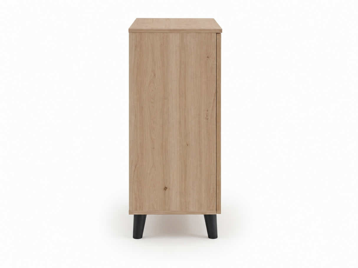 Laelia 2-Door Shoe Cabinet