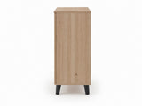 Laelia 2-Door Shoe Cabinet