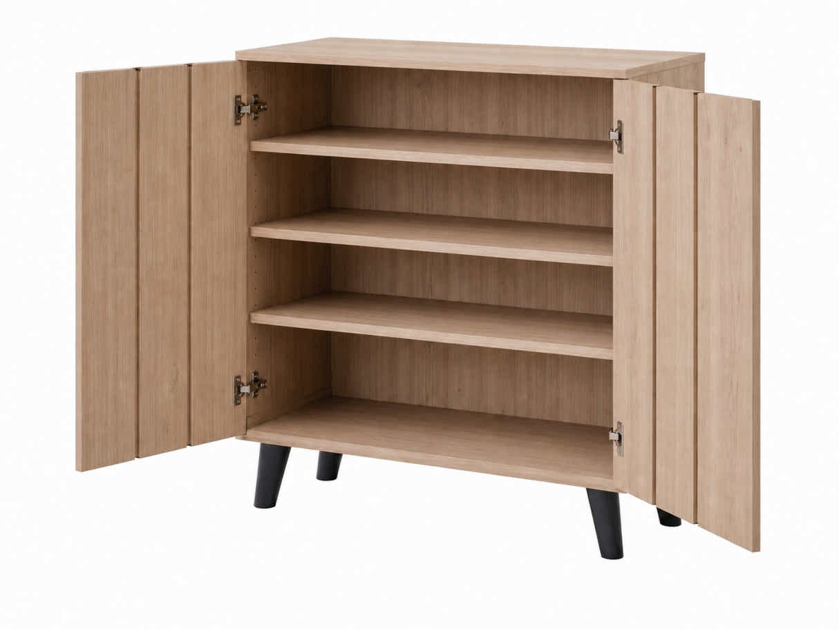 Laelia 2-Door Shoe Cabinet