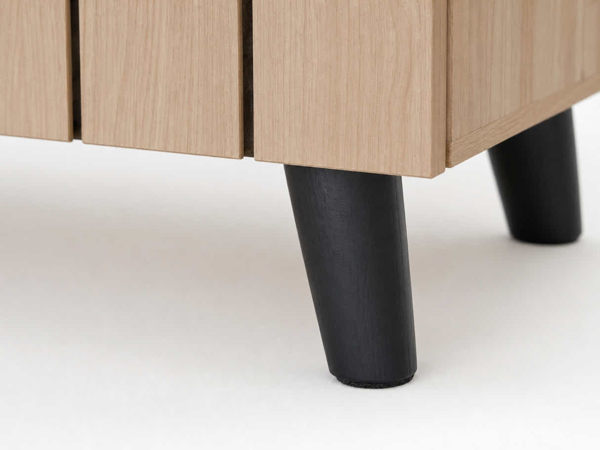 Laelia 2-Door Shoe Cabinet