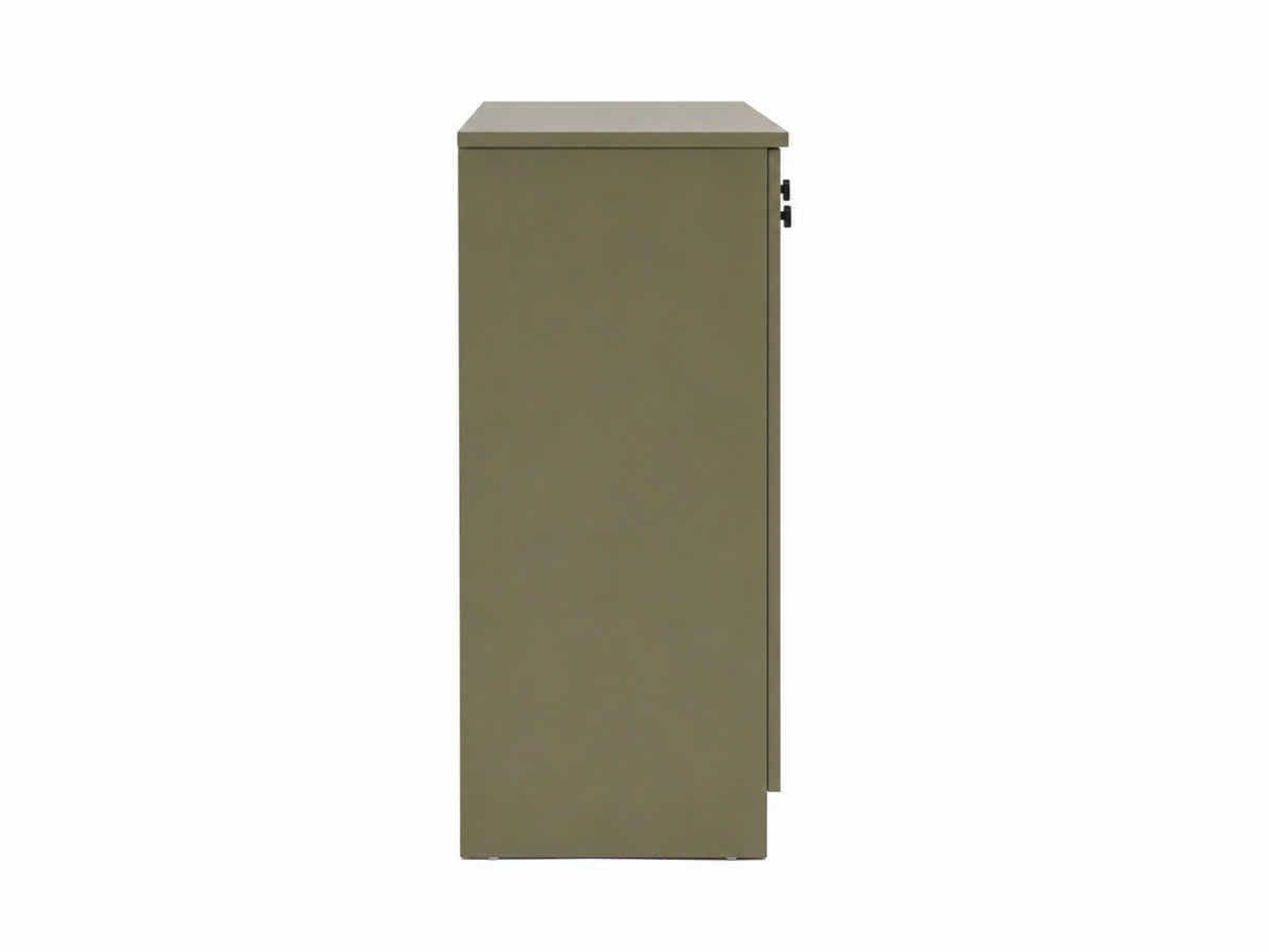 Freesia 3-Door Shoe Cabinet