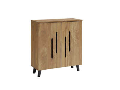 Hydrangea 2-Door Shoe Cabinet