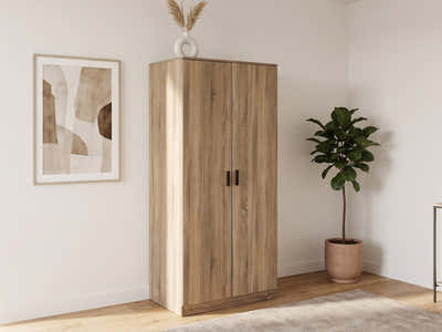 Einar 2-Door Cabinet