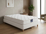 Xclusive Bed Base & PIL20 Mattress with Pillow - Single