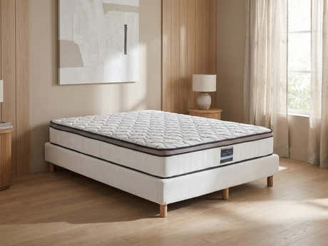 Xclusive Mattresses