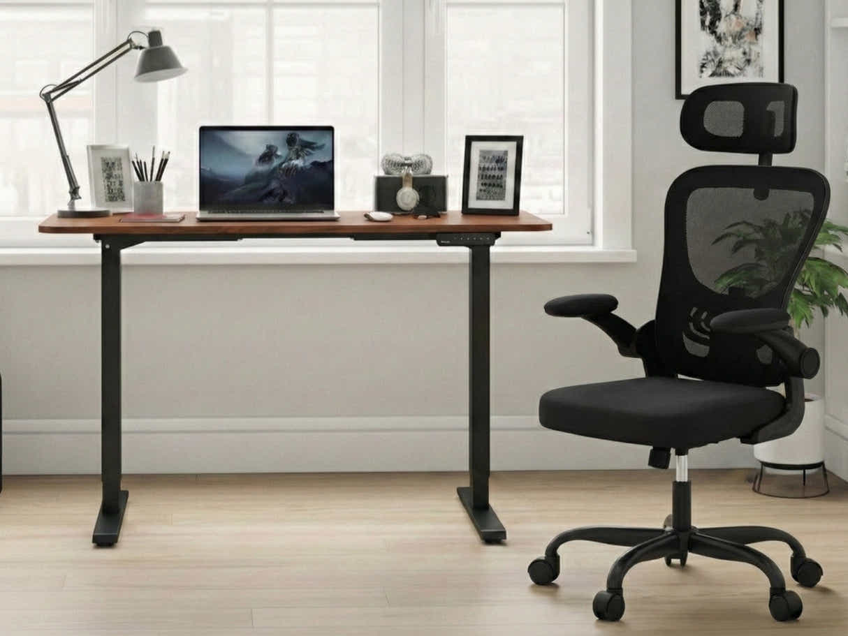 Height Adjustable Desk Set LK walnut Black & Molina Mesh Task Chair Black+Black